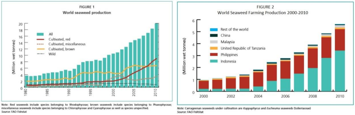 seaweed consumption